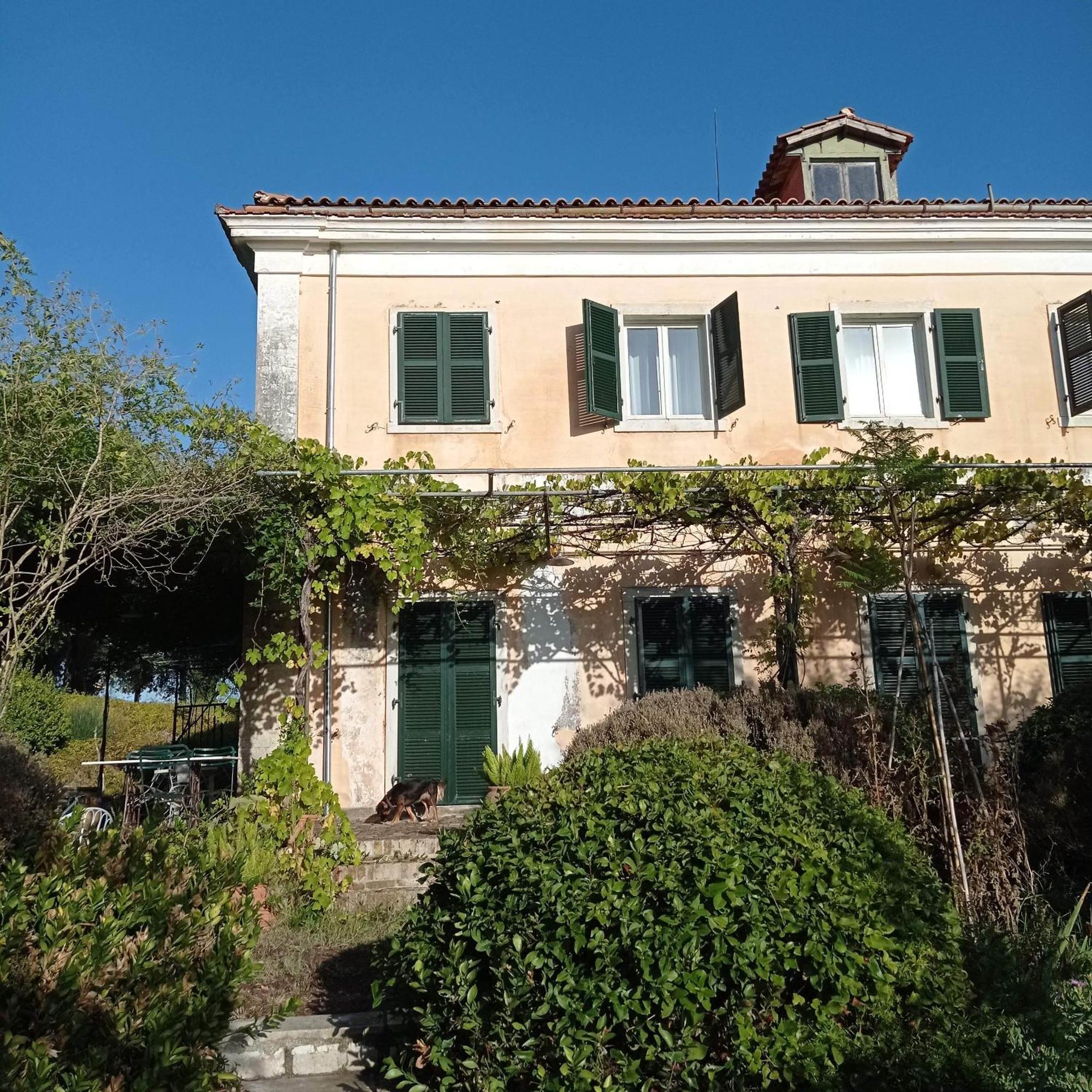 Villa Kefalomandouko Alepou Exteriör bild